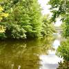 Woodlands Park & Nature Preserve... easy trail loop around the park and creek/lake area.