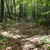 Sections of the trail is lined with a stone wall on either side.