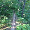 Sterling Mine Ditch Trail near Deming Gulch