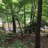 Trail down to the canoe launch