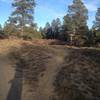 Start of the singletrack.  Turn right off of the road and head into the trees.