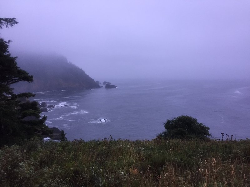 A view of the fog and the ocean from the Hart's Cove Trail
