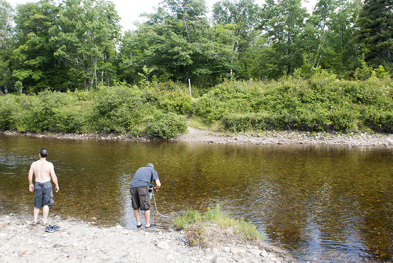 Wassataquoit Stream crossing near Wassataquoit Stream shelter.