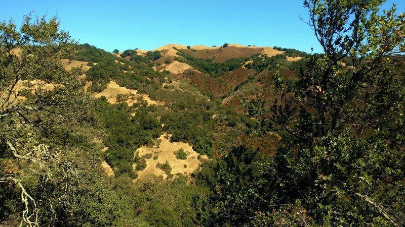 The hills of Rancho Canada del Oro, looking northwest across Baldy Ryan Canyon from a good viewpoint on Mayfair Ranch Trail