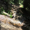 The lower section of the trail becomes more rocky and technical as it goes through the forest.