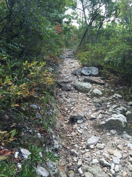 Steep, rocky trail (Tuscarora) heading back to the ridge