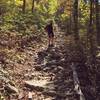 Ascending Signal Knob Peak in the GW National Forest, VA