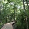 A 350-ft cedar boardwalk, very nice.