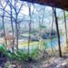 The Onion Creek rock shelter just to the lower creek side of the 'rock shelter trail'. A nice photo op on this easy trail.