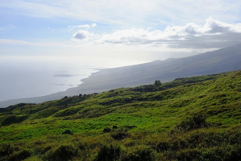 A wonderful trail once past the trees, and a rewarding way to get into the crater.