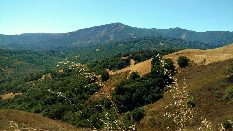 Loma Prieta at 3,786 ft., and other Santa Cruz Mountains are the backdrop to the grass and wooded hills of Rancho Canada del Oro, looking southwest from Bald Peaks Trail