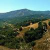 Loma Prieta at 3,786 ft., and other Santa Cruz Mountains are the backdrop to the grass and wooded hills of Rancho Canada del Oro, looking southwest from Bald Peaks Trail