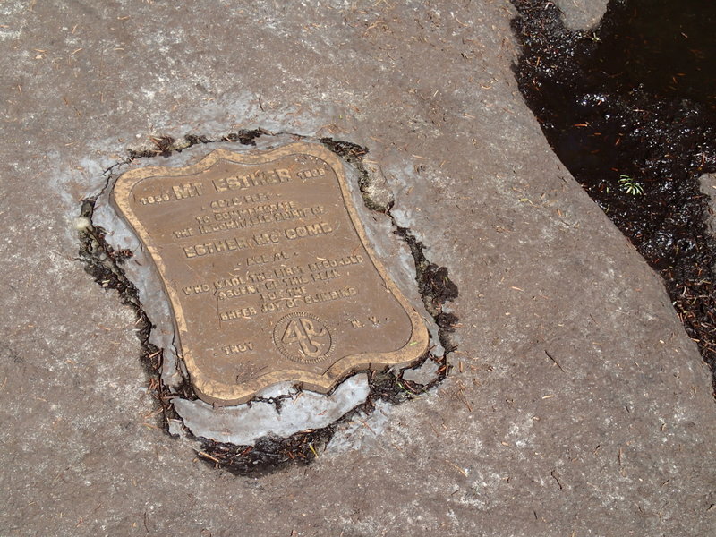 No views from the summit.  Only a summit plaque.
