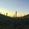 Starr Pass Trailhead