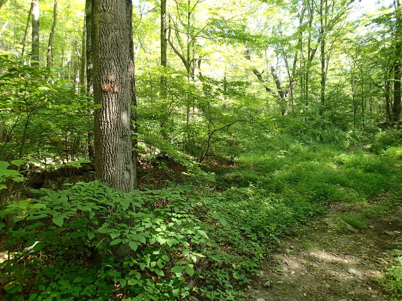 Start/End of East Mountain Loop Trail