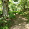 Start/End of the New Hubbard Loop Trail