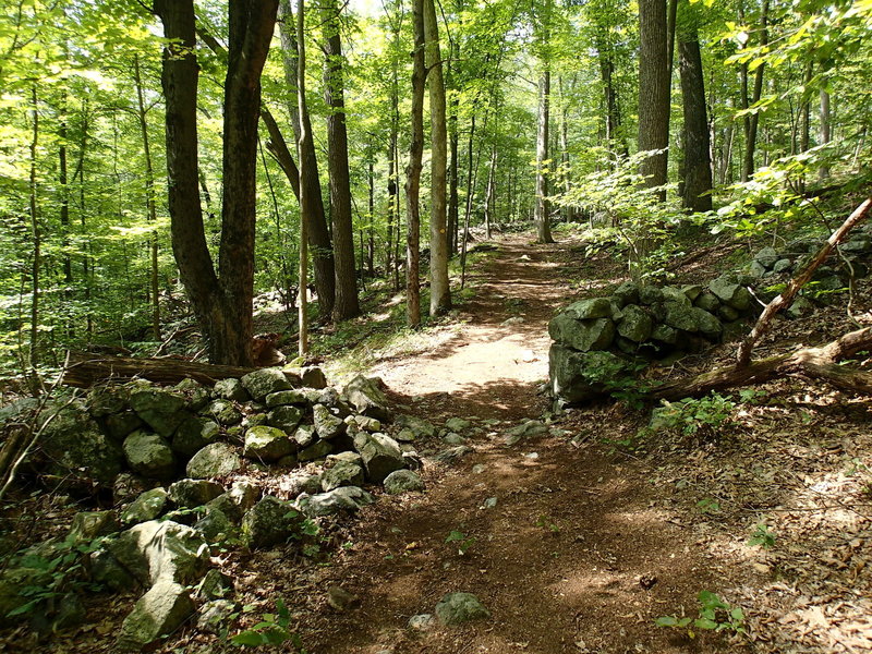 Old stone wall along the Hubbard Loop Trail