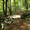 Old stone wall along the Hubbard Loop Trail