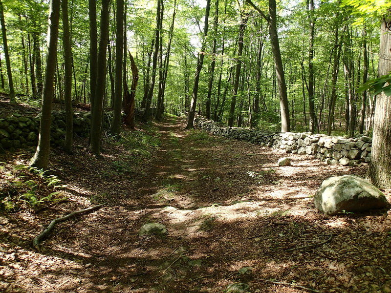 Old stone wall along the Hubbard Loop Trail