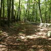 Old stone wall along the Hubbard Loop Trail