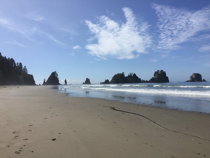 Shi Shi Beach Point of the Arches