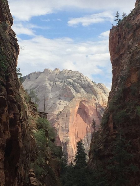 Angels Landing (walk down).