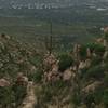 Heading down from Romero Pools, one saguaro stands out above many.