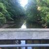 Pennypack Creek