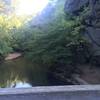 Large Boulders along Pennypack Creek