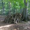 Primitive shelter building practice (by others)