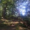 Access to the top side of the large boulder along Pennypack Creek