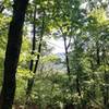 A view from the top of Jarnigan Knob