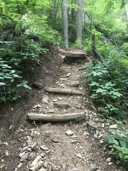 Eroded stairs at the end of the Farlow Gap trail.