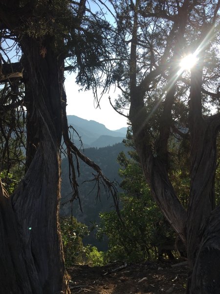 Looking west down the Glenwood Canyon from Boy Scout Trail