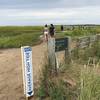 Average high tide marker for 2025 and the intersection of Goose Pond Trail and Try Island Trail.