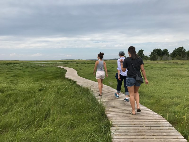 Try Island Trail boardwalk.