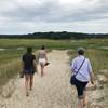 Heading back to the Try Island Trail boardwalk, looking east across the marsh toward the Nature Center.