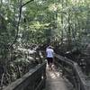 Crossing one of several wooden bridges around Lake Haigler.