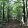 Most of the loop around the lake is forested and shady.