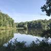 There are several spots where the trail opens up and gives you access to the lake.