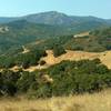 Loma Prieta in the distance, at 3,786 ft., the highest peak in the Santa Cruz Mountains, with nearby trails far below, seen looking southwest from high on Needlegrass Trail.