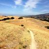 Sweet singletrack on the way to Couch Canyon.