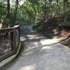 Path along to the waterfall - nicely paved.