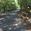 Nicely shaded path with periodic benches to rest (or exercise) if you wish.