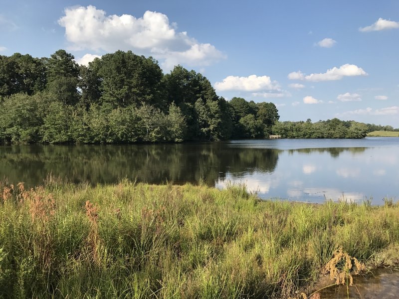 View of the lake from one of the piers along the way.