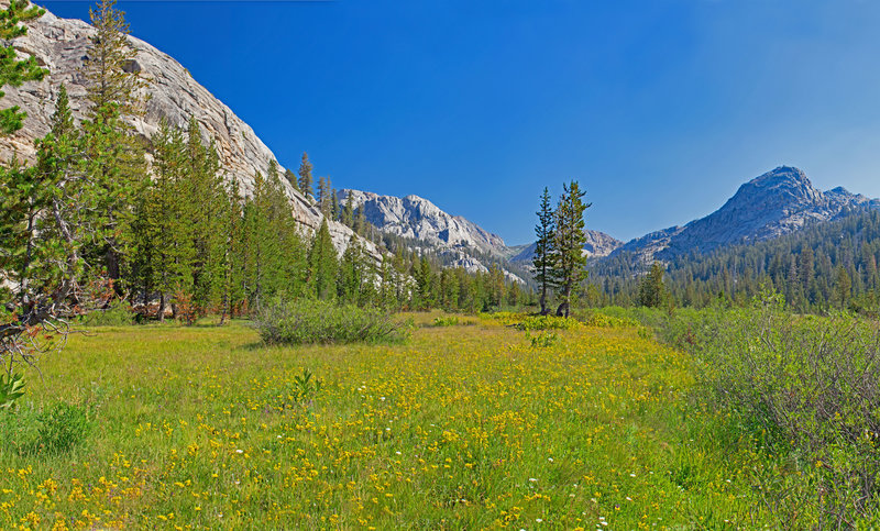 Emigrant Lake Trail goes up a long flowered covered meadow above Buck Lakes. Black Hawk Mountain is in the left-center background.