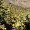 Wind River Peak in the background as you head down trail toward the Popo Agie River.