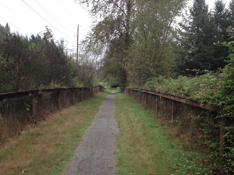 Singletrack connecting Puget Pipeline Trail.