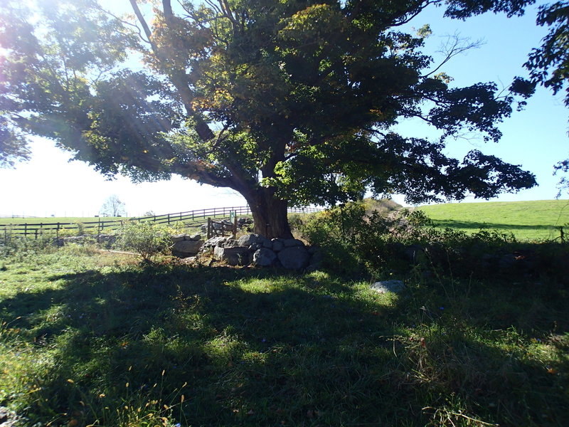 Gate next to tree for easement across private property. Be sure to close the gate.