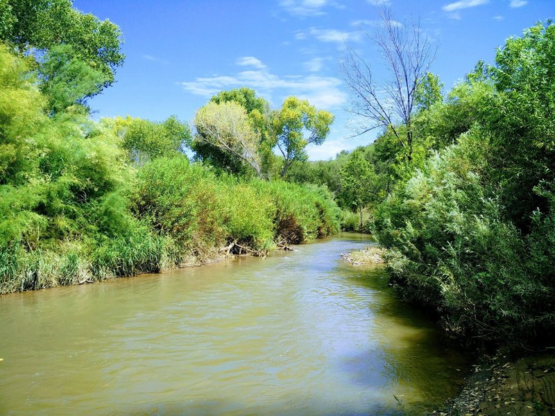 A view upriver from the bank where the trail levels out after its big descent. The larger patch of green grasses reaching the river a quarter of the way from the left edge of the photo is where to find the trail again.